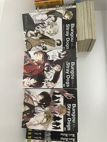 Bungou stray dogs set