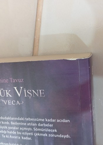 Çürük Vişne - Emine Tavuz Roman