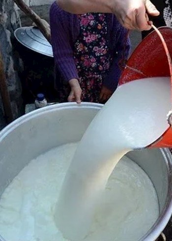 Tap Taze İnek Sütü