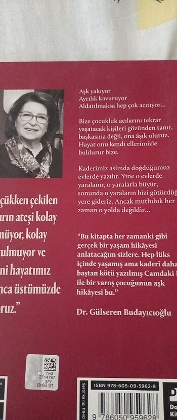  Gülseren Budayıcıoğlu - Camdaki Kız
