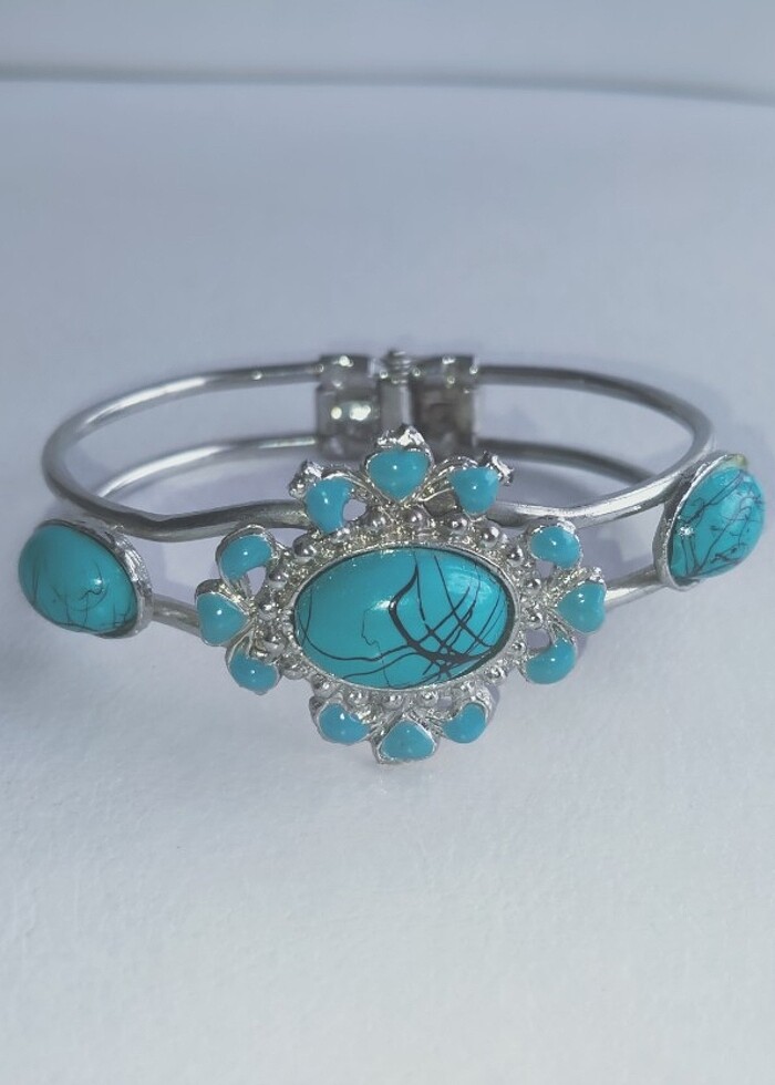 Mavi kelepçe  - Görsel 2