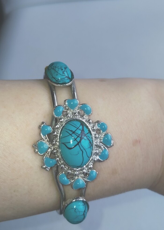 Mavi kelepçe  - Görsel 3