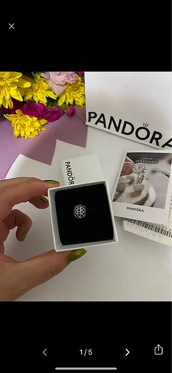 pandora charm