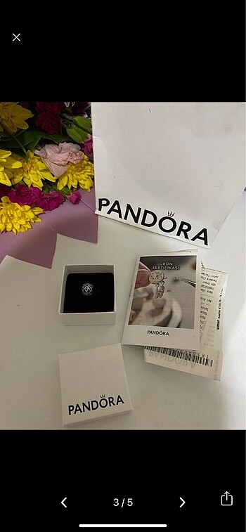 Pandora pandora charm