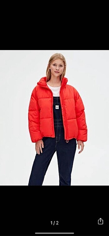 pull bear mont