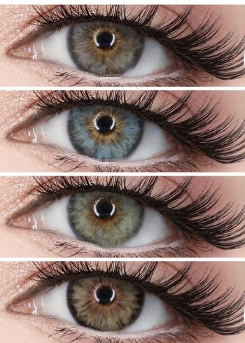 Lensamor pixie, labella, hypnose - Görsel 3