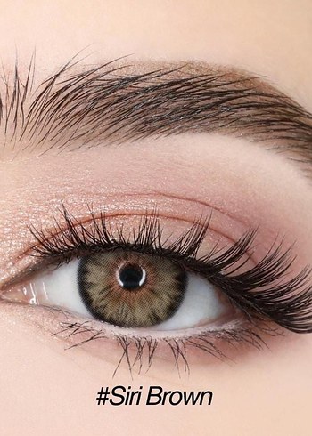 Lensamor pixie, labella, hypnose - Görsel 5