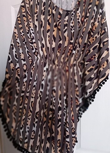 Leopar pareo