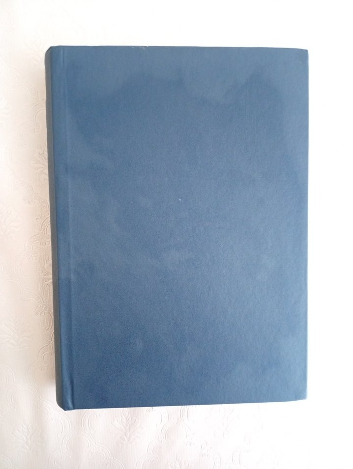 İNGİLİZCE TÜRKÇE İKTİSADİ TİCARİ HUKUKİ SÖZLÜK - Görsel 2