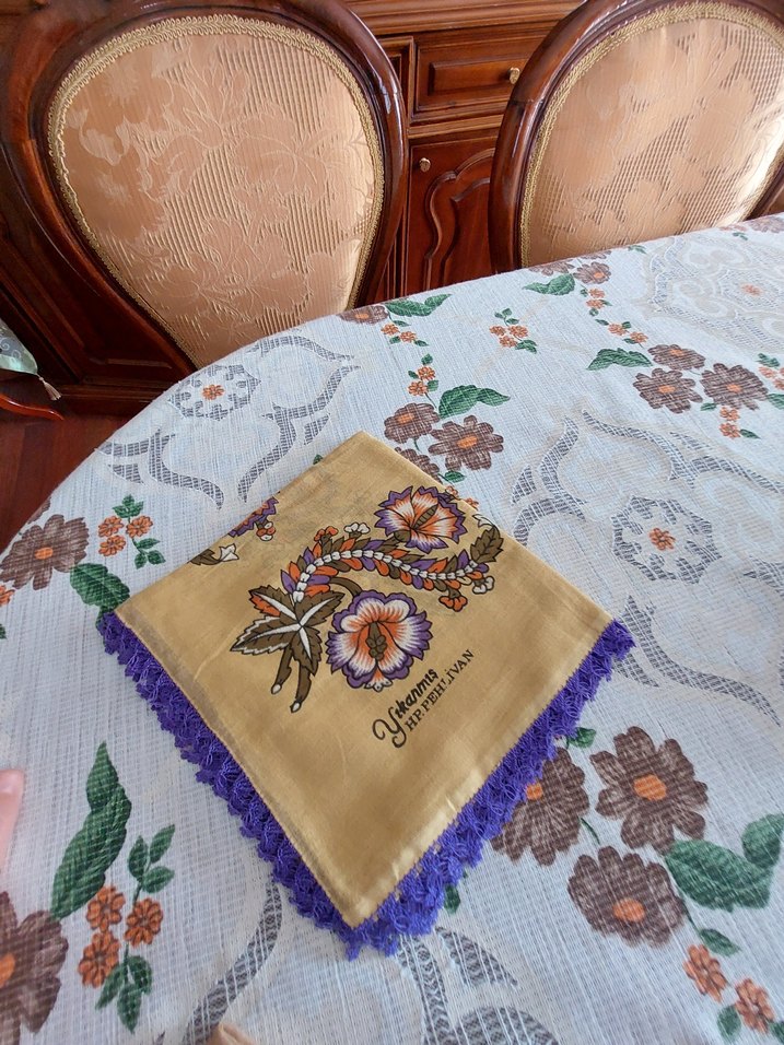 Dantel Detaylı Bej ve hardal Kadın yemeni - Görsel 3