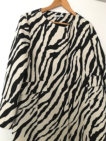 Zara Zebra desen ceket