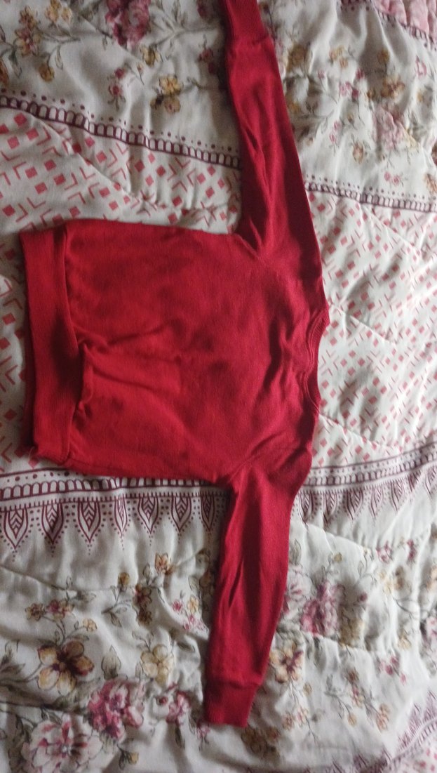 Kapüşonlu Kırmızı Erkek Çocuk Sweatshirt - Görsel 4