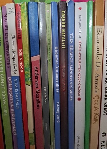 Beden Renk Kitap çeşitleri