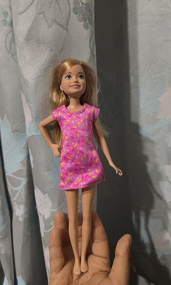 Barbie Barbie Stacie Doğum günü eğlencesi 