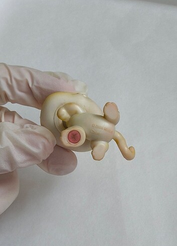 Lps paw up shorthair miniş