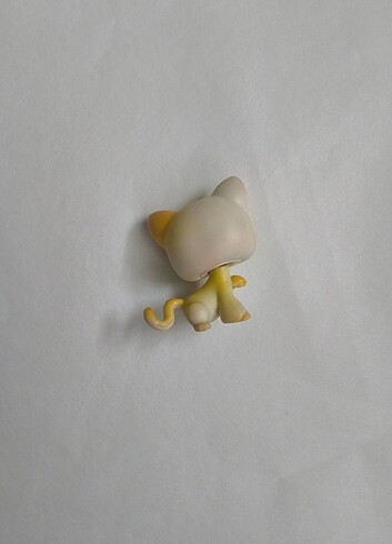 Beden Renk Lps paw up shorthair miniş