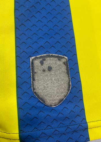 FENERBAHÇE 2012-2013 SEZONU FORMASI - Görsel 8