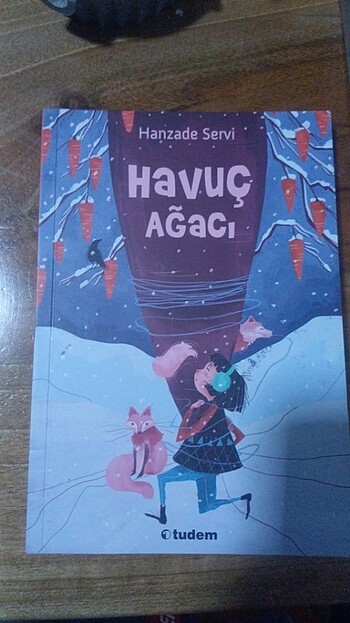 HAVUÇ AĞACI