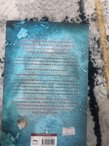  Buzdaki kız