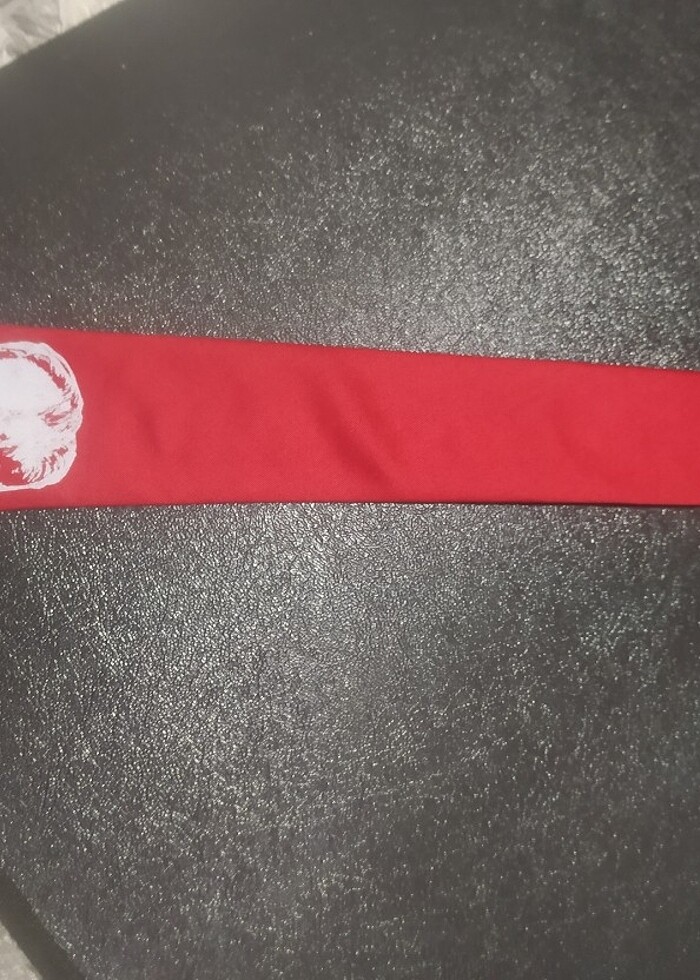 Atatürk resimli kravat  - Görsel 2