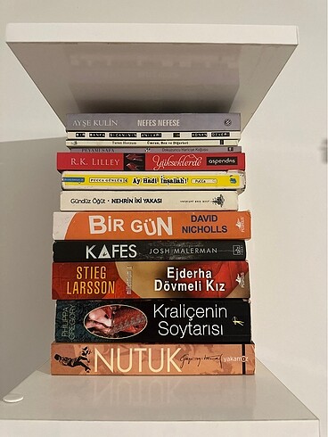 Kitap ayşe kulin / pucca