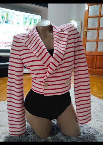 Çizgili Kısa Kesim Pembe Blazer Ceket - Görsel 2