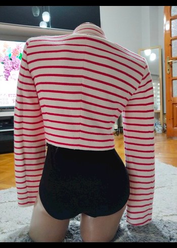 Çizgili Kısa Kesim Pembe Blazer Ceket - Görsel 5