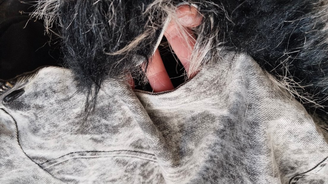 Batik Gri Kadın Denim Ceket, Kürklü Kapüşonlu, Bağcıklı Kol — görsel 11/12