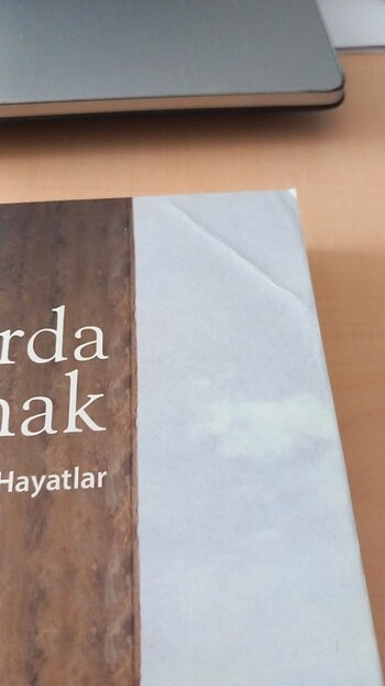 Fıçılarda Yaşamak kitap - Görsel 4