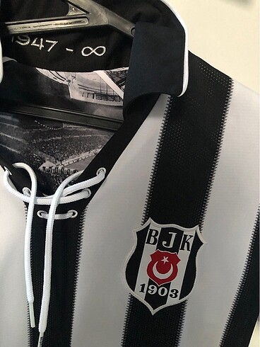 Beşiktaş Kartal yuvası - Görsel 2