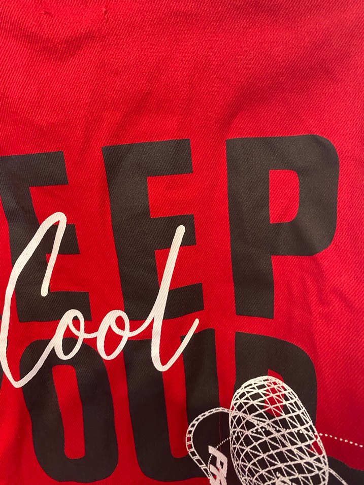 Kirmizi kot ceket - Görsel 5