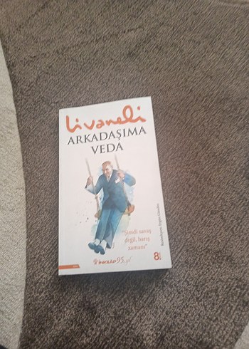 Arkadaşıma Veda Romanı