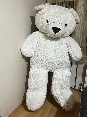 Peluş Ayı
