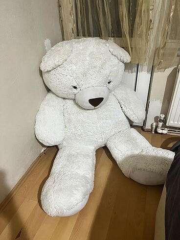 Diğer Peluş Ayı