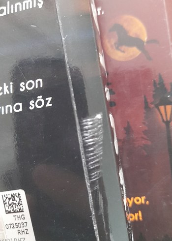 Beden Beyza Alkoç - Karantina 4 Kitap Seti