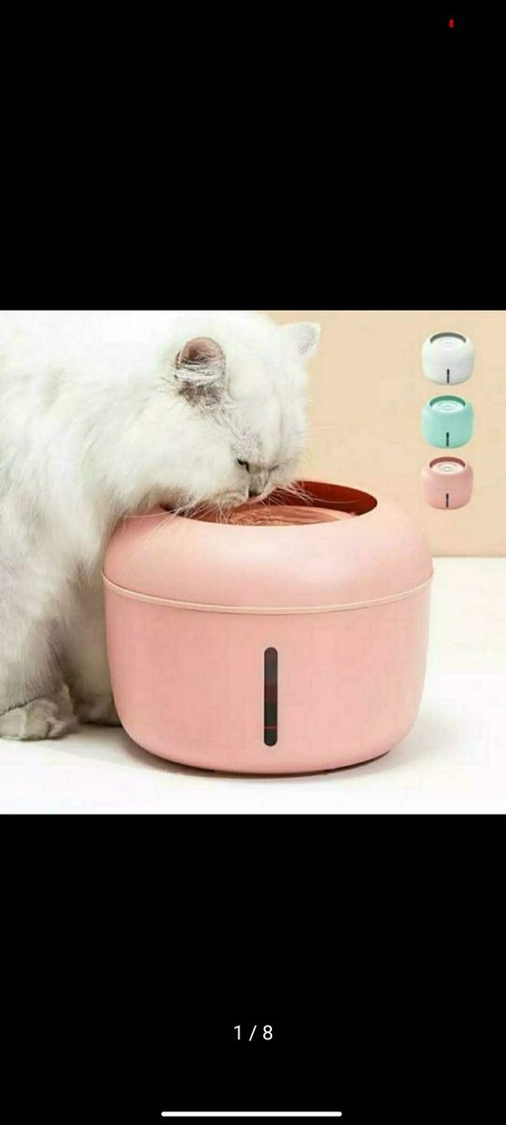 Kedi Su Kabı - Görsel 3