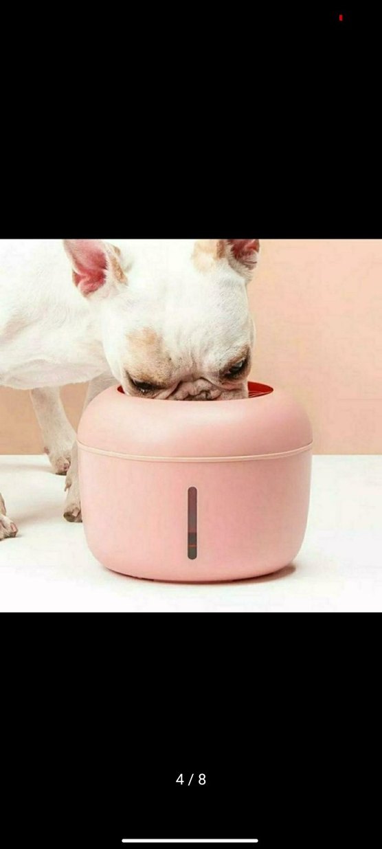 Kedi Su Kabı - Görsel 5