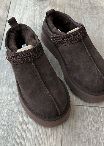 Australia Tazz Belt Chocolate - Görsel 2