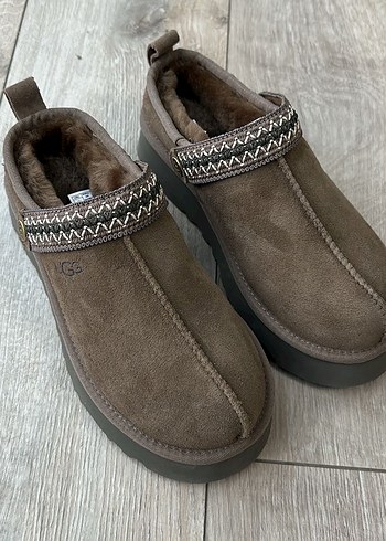 Australia Tazz Belt Hickory - Görsel 2