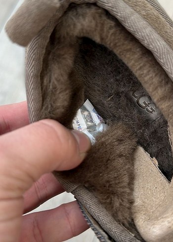 Australia Tazz Belt Hickory - Görsel 4