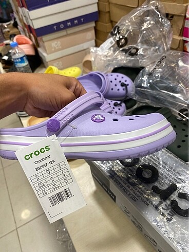 Lila crocs