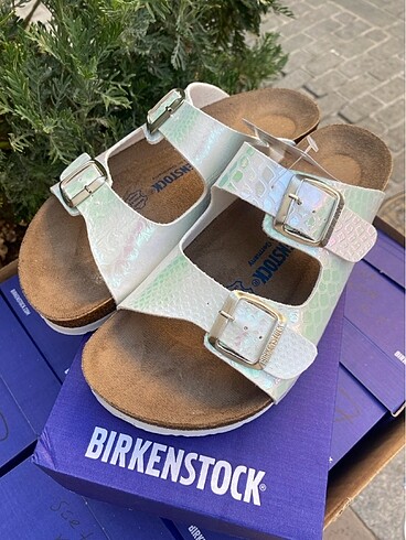 Birkenstock Sedef rengi