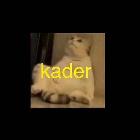 kader