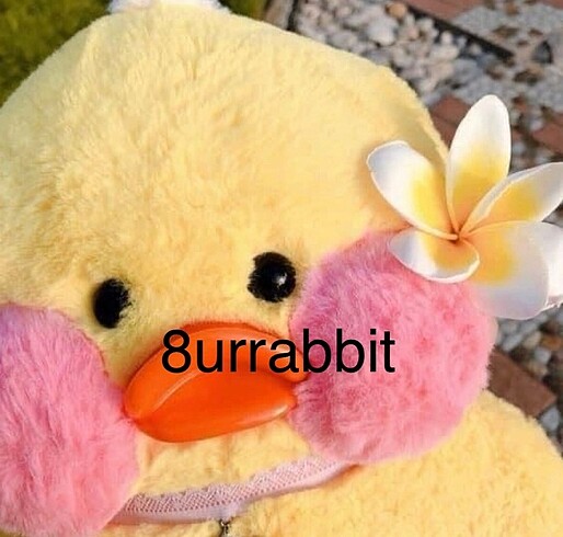 8urrabbit