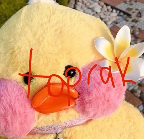 toprak