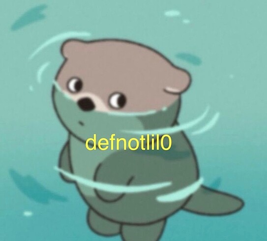 defnotlil0