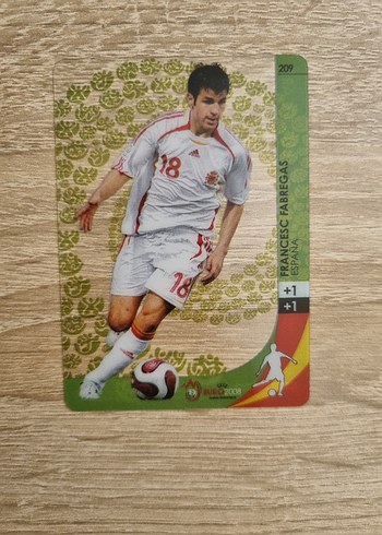 PANİNİ EURO 2008 ULTRA CARD YEŞİL SET - Görsel 2