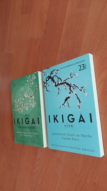  Beden ikigai kişisel gelişim 