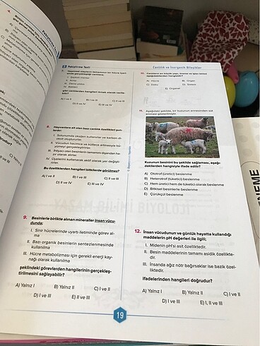 9. sınıf biyoloji test kitabı