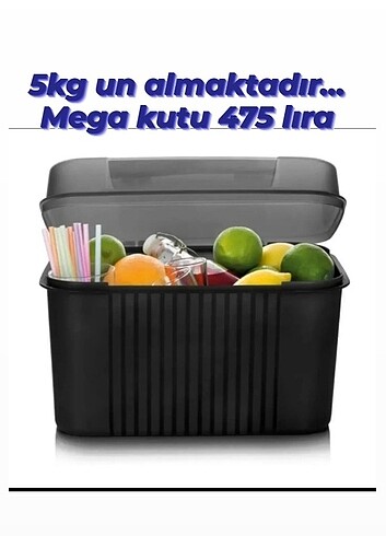 Tupperware mega kutu 
